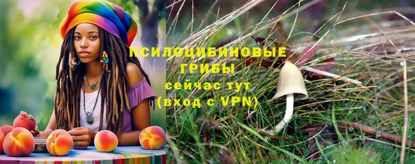 скорость mdpv Гусь-Хрустальный