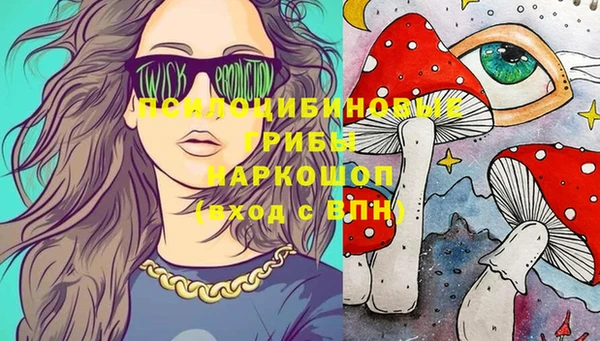 бошки Гусев