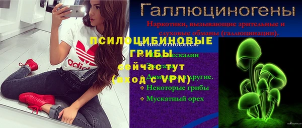 бошки Гусев
